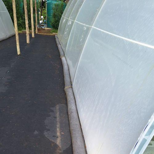 Agriculture & Horticulture
